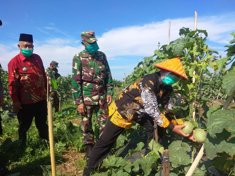 Rimbo Kedui Ditetapkan Sebagai Kampung Tangguh Nusantara