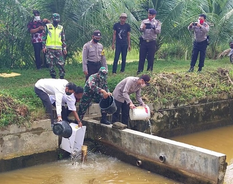 Jaga Ketahanan Pangan, Polsek Putri Hijau Buat Program Koari Hijau