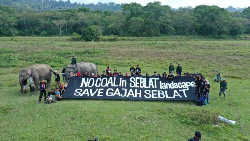 Habitat Gajah Sumatera di Bengkulu Harus Diselamatkan