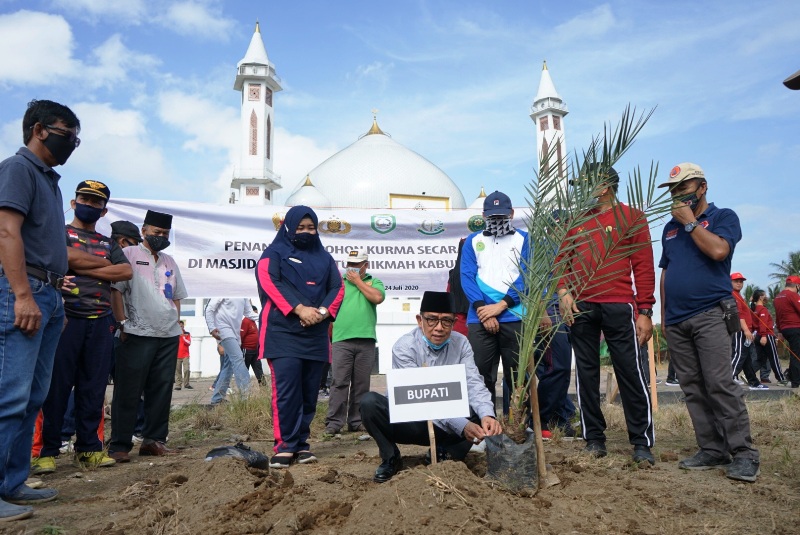 Kurma Tropis Penghias Masjid Agung Kepahiang