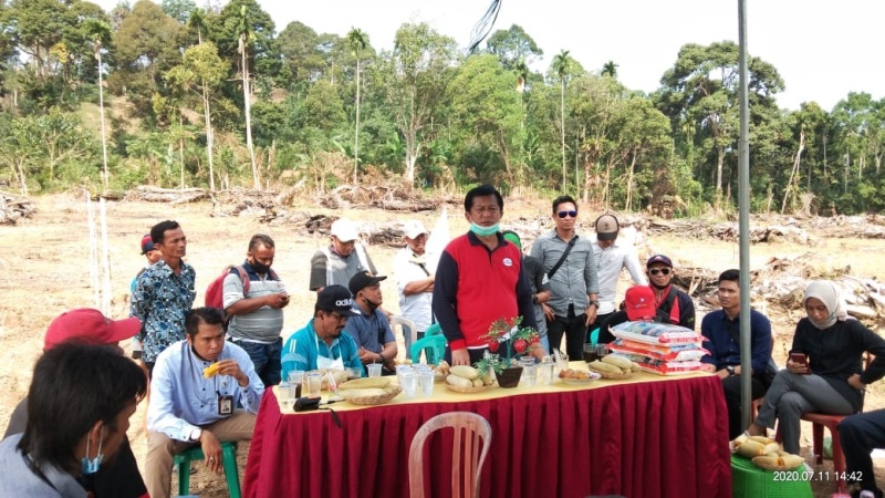 Bengkulu Selatan Sebagai Central Jagung