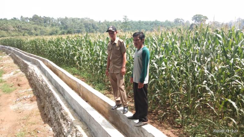 Atas Usulan Masyarakat, Desa Kembang Ayun Bangun Irigasi