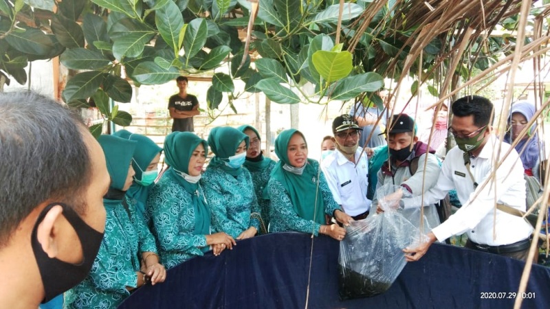 Desa Lubuk Sirih Ulu Siap Jadi Penghasil Ikan Lele