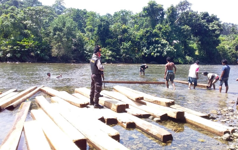 Polres Amankan 150 Kayu Hutan Kawasan