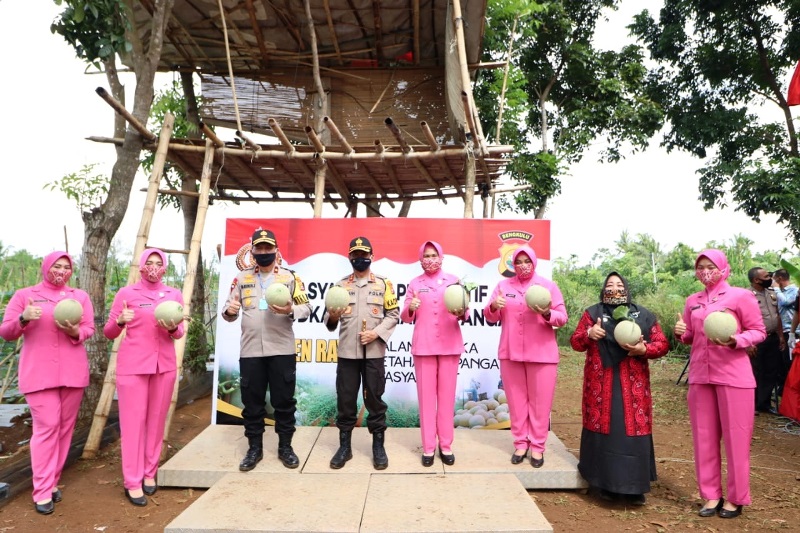 Tingkatkan Ketahanan Pangan, Kampung Tangguh Dibentuk