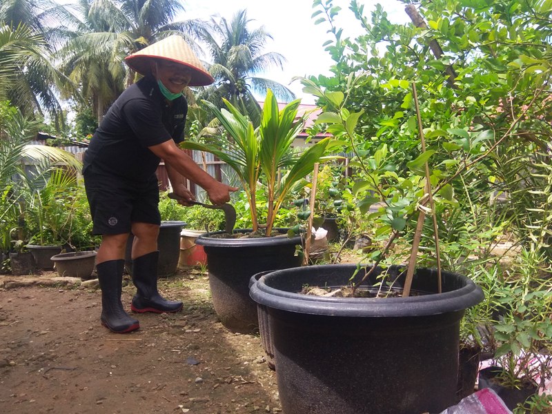 Ditengah Hiruk Pikuk Pilkada Seluma, Suparto Salurkan Hobi Berkebun