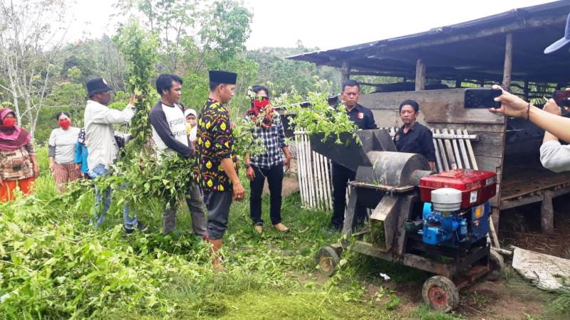 Ini Cara Masyarakat Adat Rejang Hadapi Covid-19