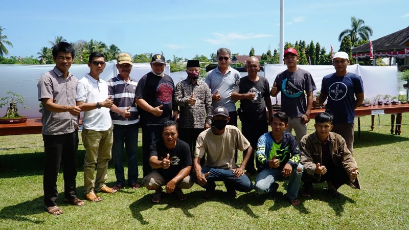 Komunitas Rumah Bonsai BS Gelar Pameran 200 Jenis Tanaman