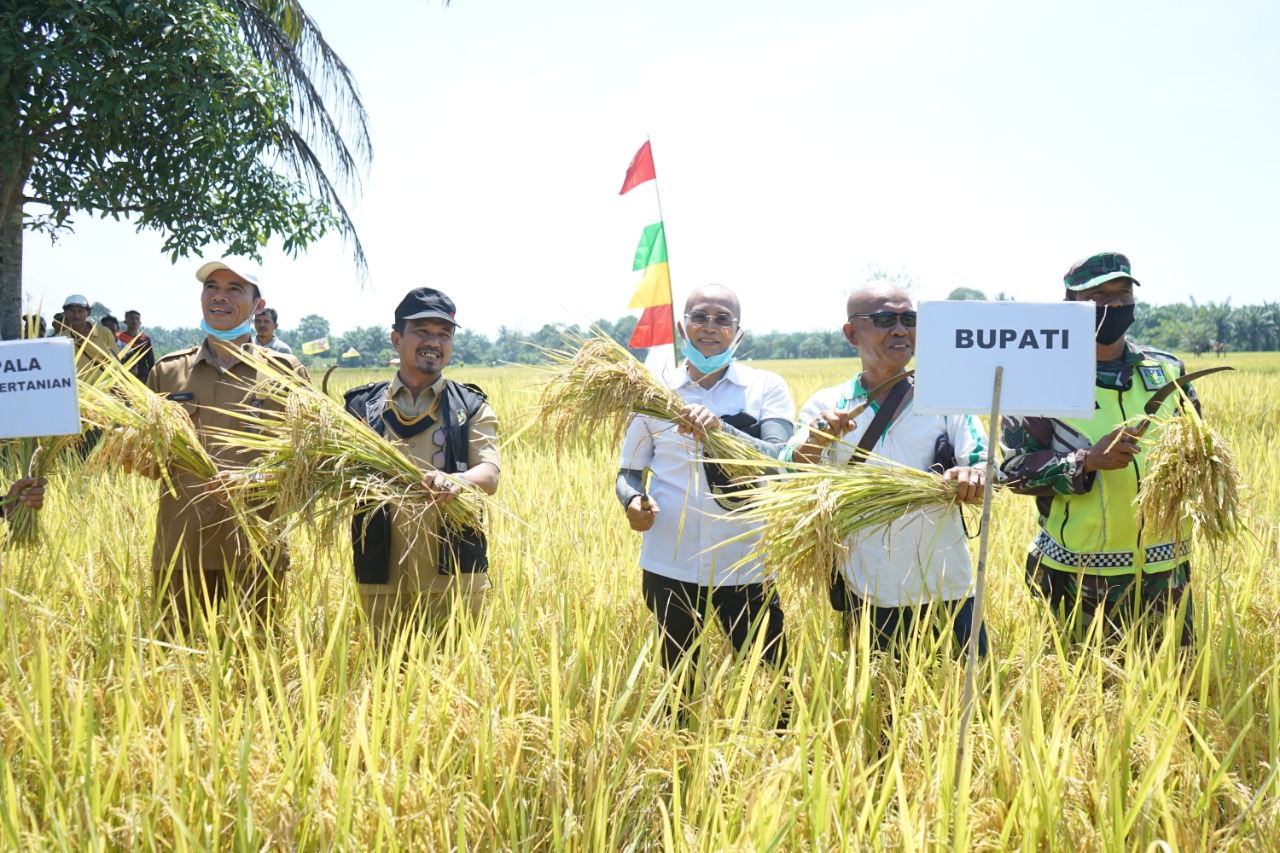 Gusnan Mulyadi Bantu Petani Atasi Soal Pupuk Bersubsidi