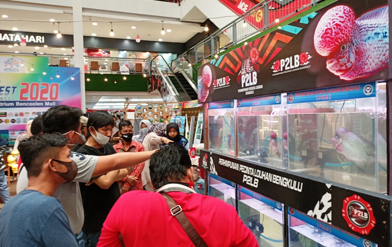 P2LB dan 48 Komunitas Ikuti Pameran di Bencoolen Fest