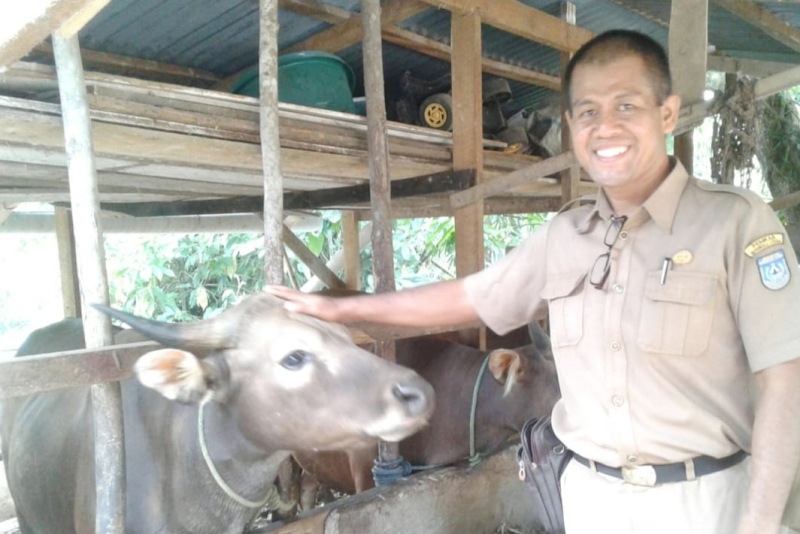 Sukseskan Swabeda Daging Program Sikomandan