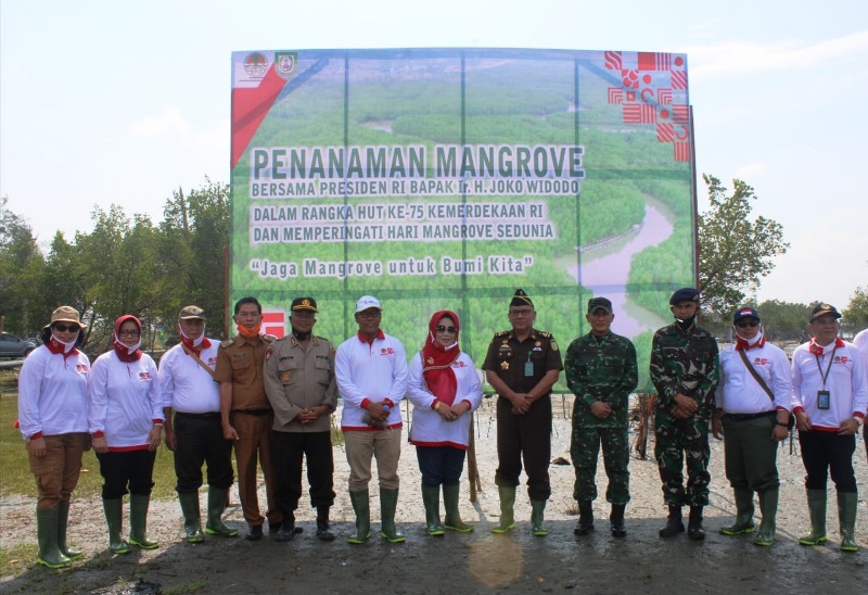 Hari Mangrove se-Dunia, Pemprov Bengkulu Siap Lestarikan Alam