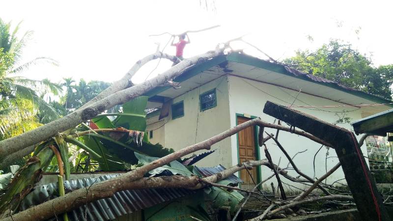TK Aisyiah Rusak Dihantam Pohon Tumbang