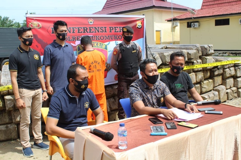 Polisi Bekuk Terduga Pelaku Illegal Logging Setelah 8 Bulan