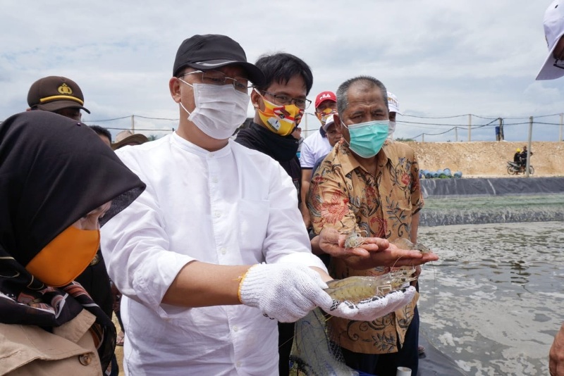 Potensi Kemaritiman Bengkulu Sangat Besar