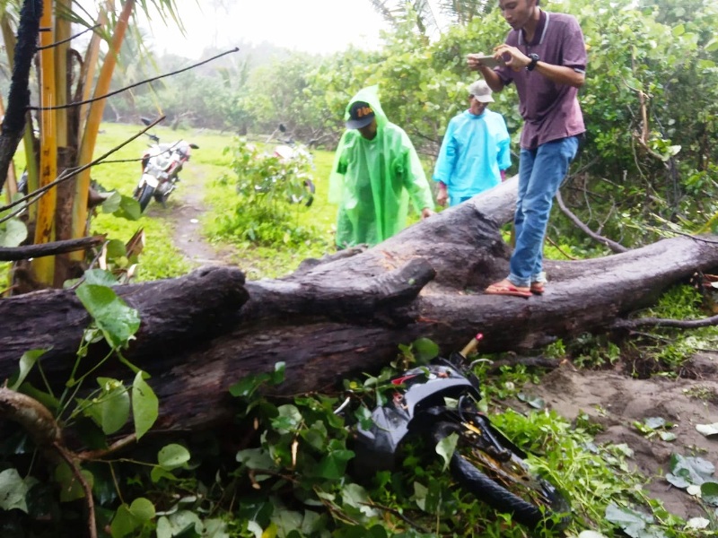 Isak Tangis Iringi Pemakaman Korban Pohon Tumbang