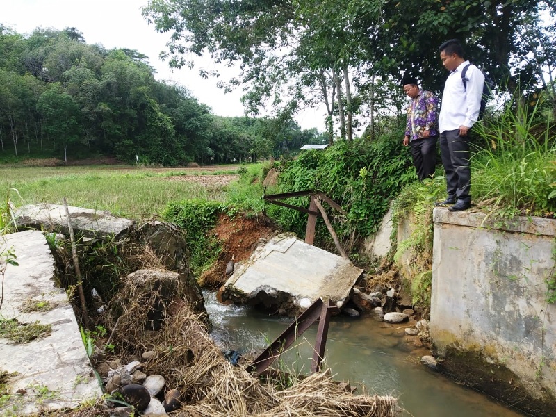 Dam Parit Jebol, Puluhan Hektar Sawah Kekurangan Air