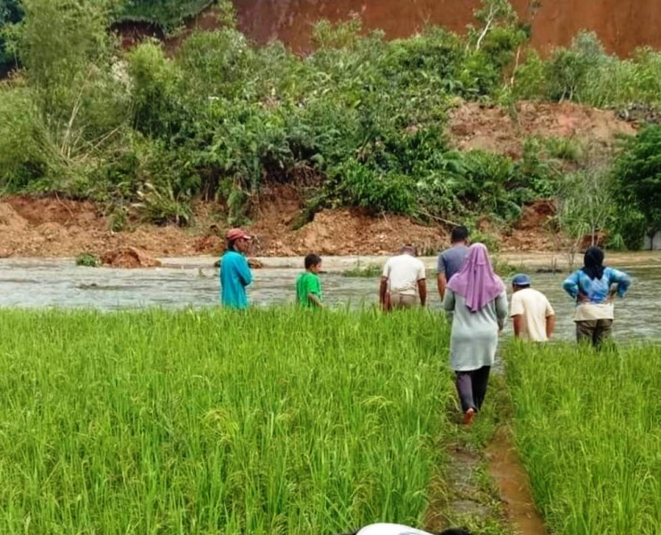 Tanaman Tertimbun Longsor, Petani Gagal Panen