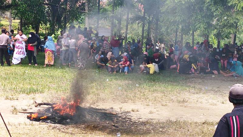 Polemik Perpanjangan HGU PT Agricinal Memanas