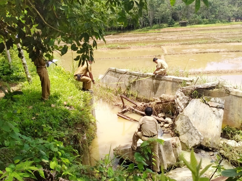 Pemda BU Respon Cepat Keluhan Petani Air Solok