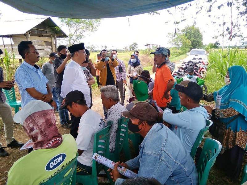 Datang ke Sawah, Rohidin Siap Atasi Tantangan yang Dihadapi Petani