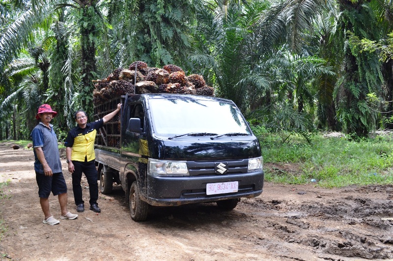 Rp 15 Juta Sudah Bisa Bawa Pulang New Carry