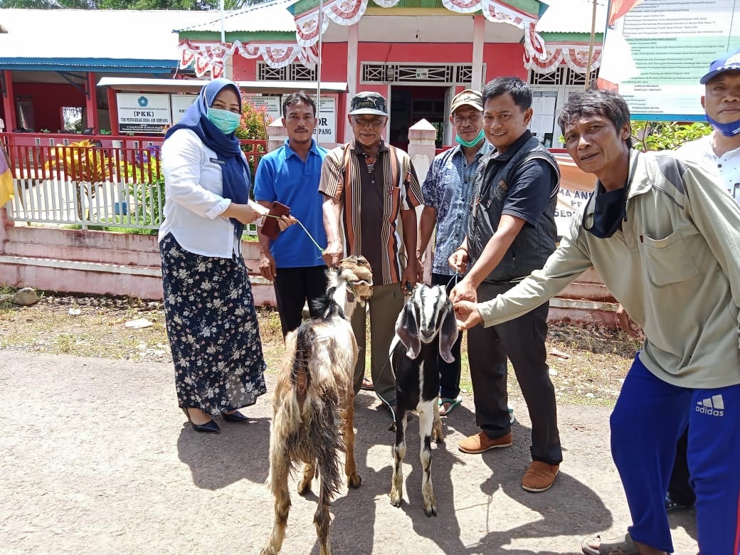 63 Warga BU Dapat Bantuan Kambing Dari Pemda