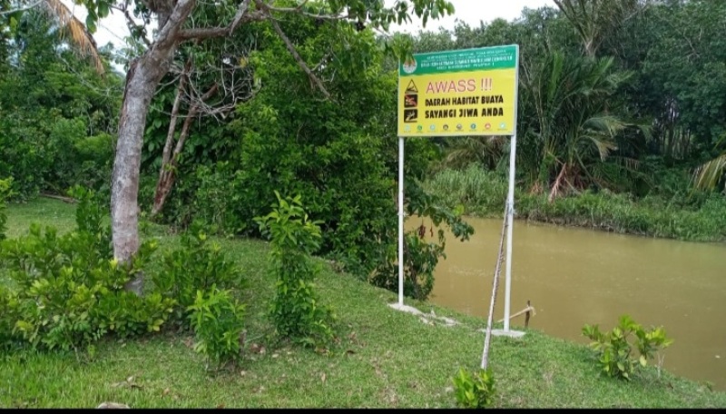 Kehadiran Buaya Sungai Air Buluh Dipertanyakan