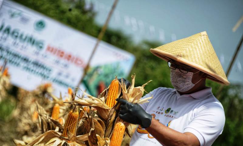 Jabar-NTB Jalin Kerja Sama di Sektor Peternakan