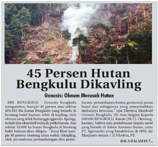 45 Persen Hutan Bengkulu Dikavling