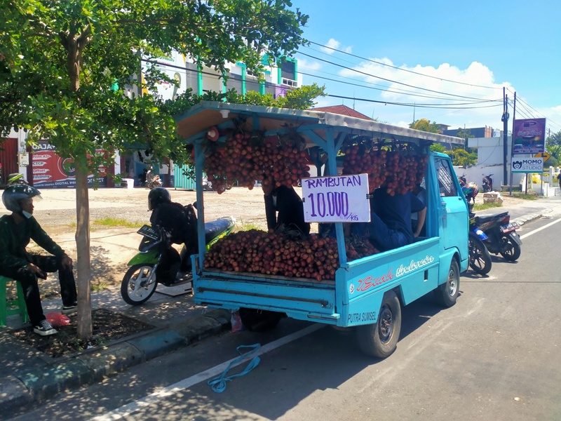 Kota Bengkulu Banjir Buah Rambutan