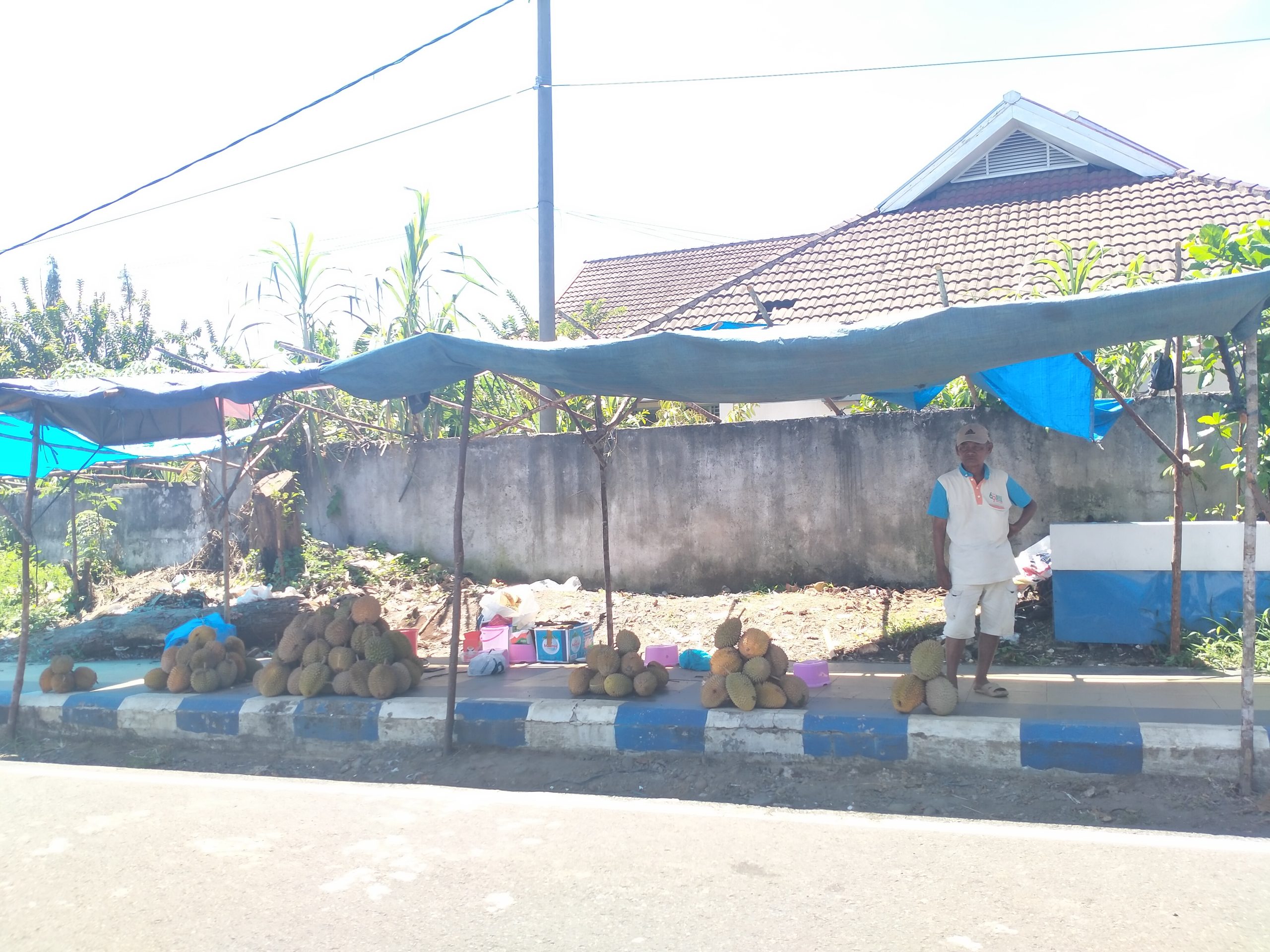 Warga Berburu Durian di Tengah Kota