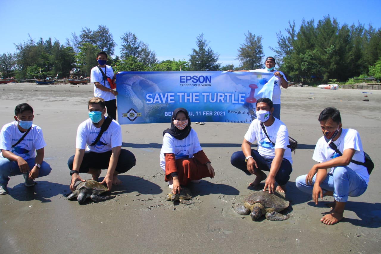 Habitat Penyu Memprihatinkan, PT Epson Lepas 600 Tukik di Tapak Padri Bengkulu