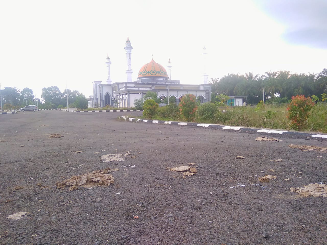 Kotoran “Jawing” Warnai Komplek Masjid Agung Baitul Huda Mukomuko