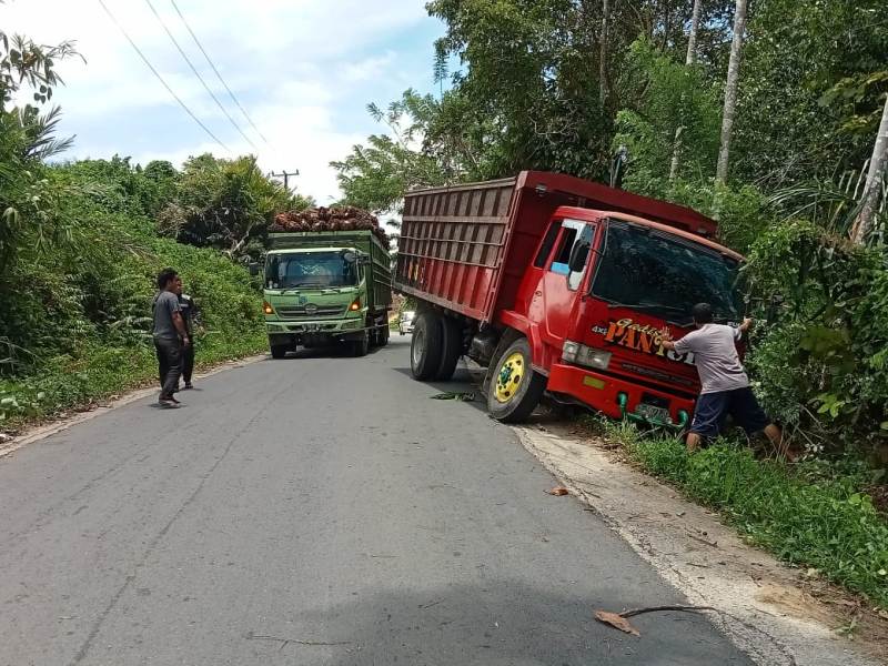 Truck Fuso Nyaris Nyungsep ke Jurang