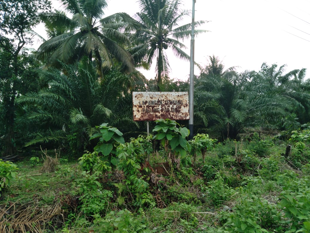 Memoar Lapangan Terbang Padang Panjang Bengkulu Selatan Dalam Catatan (1)