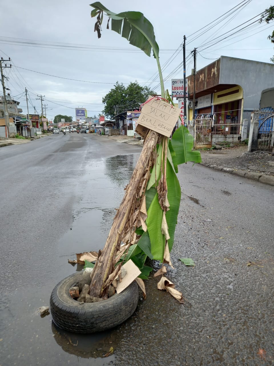 Warga Jalan Danau Tanam Pohon Pisang Dijalan