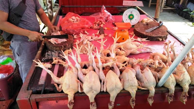 Harga Ayam Potong Berangsur Naik