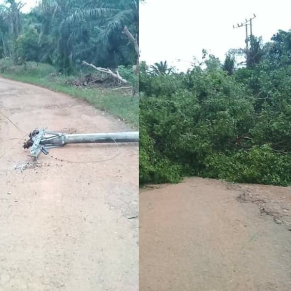 Angin Kencang, Tiang Listrik dan Pohon Tumbang