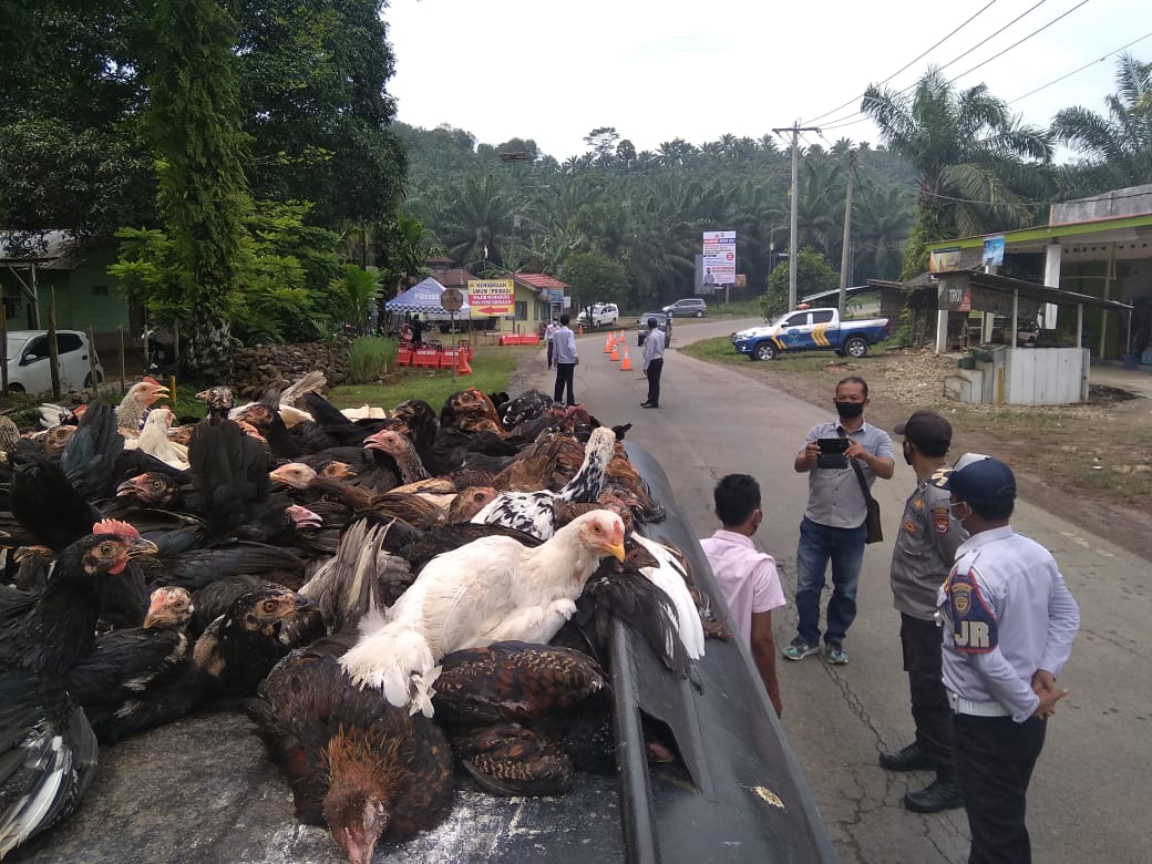 2,5 Jam Operasi,  Tiga Kendaraan “Balik Kanan”