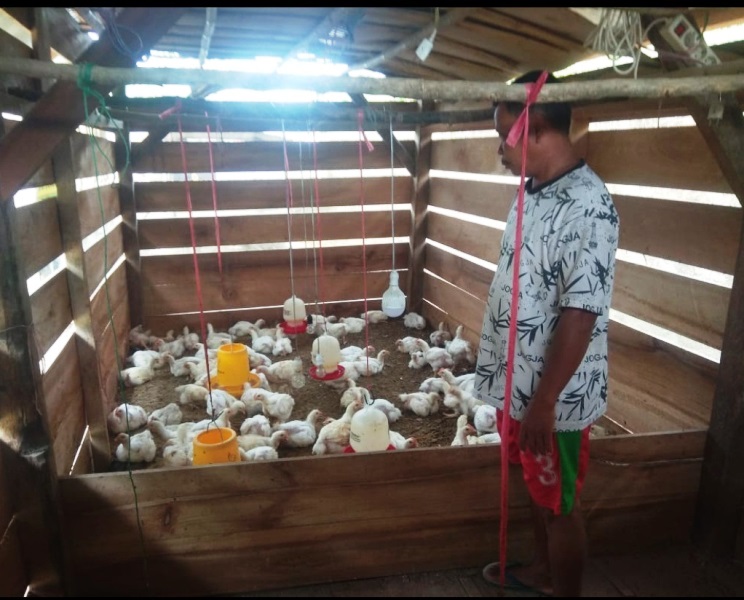 Harga Daging Ayam Bertahan Rp 40 Ribu