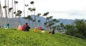 Zona Merah, Kabawetan Masih Dikunjungi