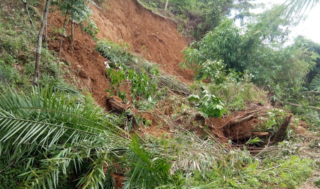 Longsor, Petani Hulu Palik Terancam Alami Kerugian Ratusan Juta