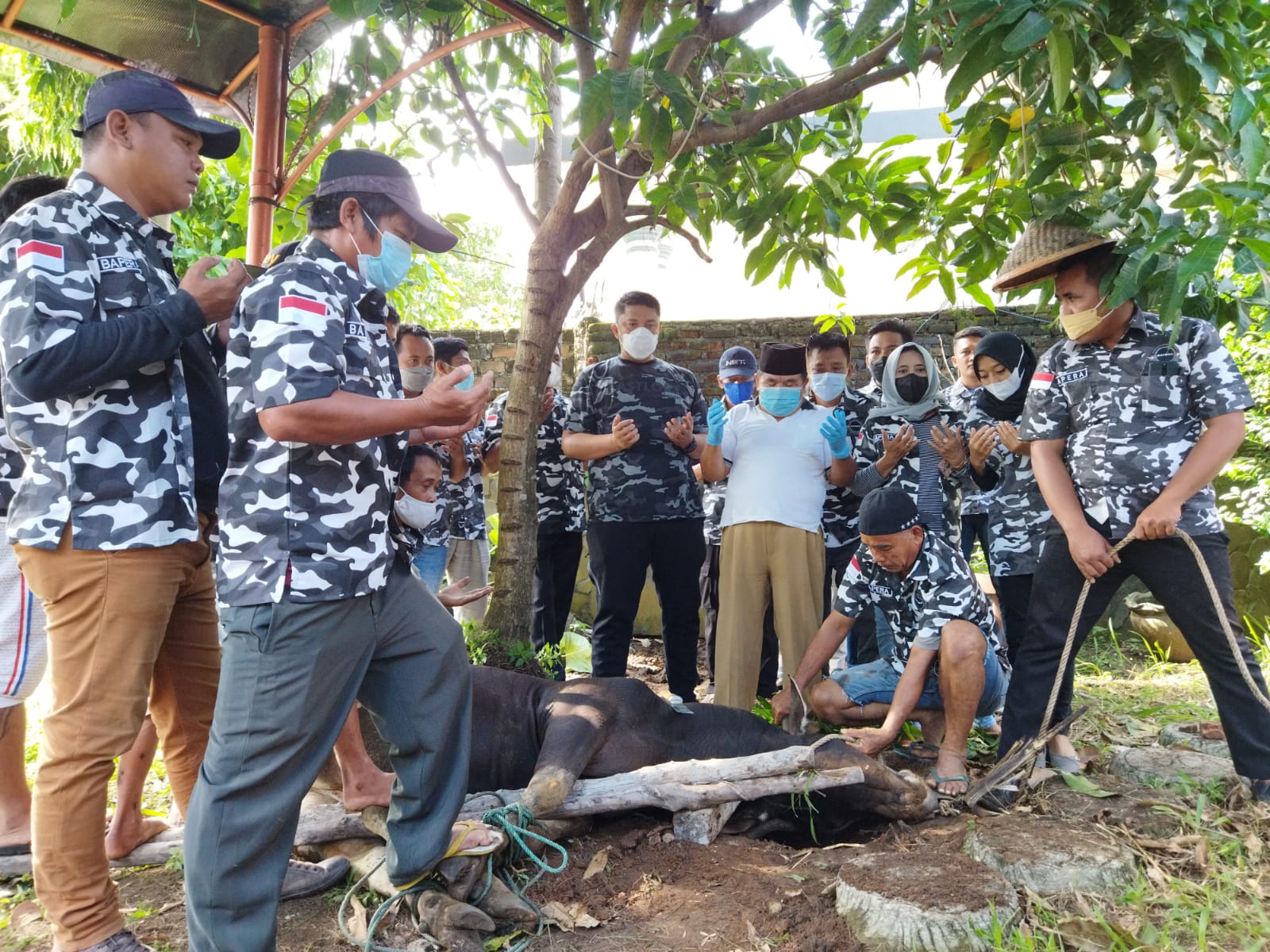 Potong Hewan Kurban, Bapera Doakan Covid-19 Segera Berakhir