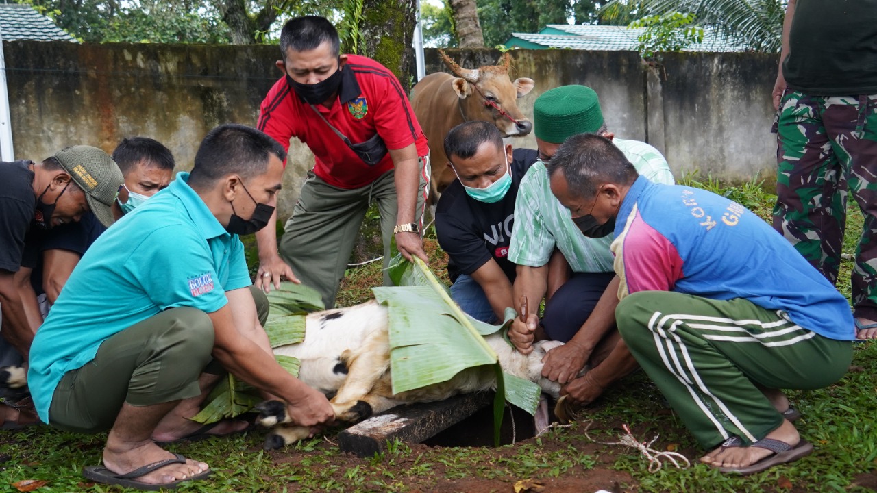 Korem 041/Gamas Kurban 4 Sapi, 2 Kambing