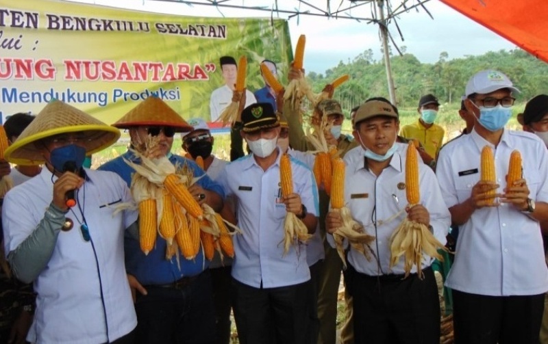 Panen Raya Jagung, Bupati Gusnan Sampaikan Langsung Hasilnya ke Menteri Pertanian