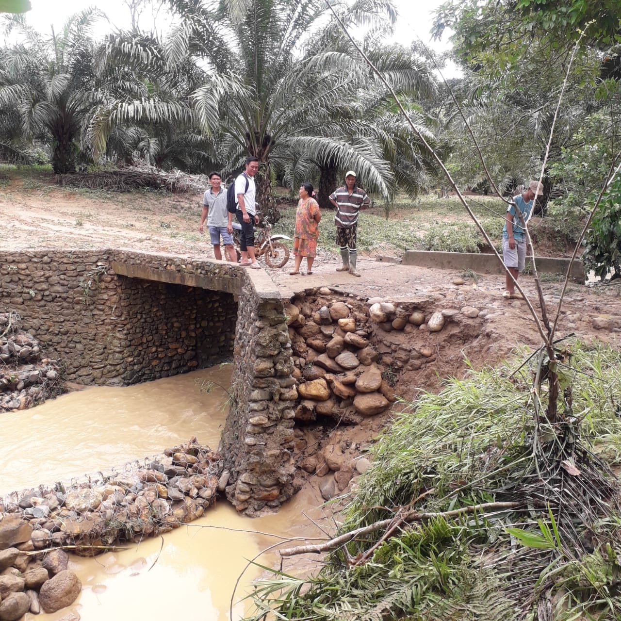 Sungai Santan Meluap, Dua Jembatan di Kinal Jaya Rusak