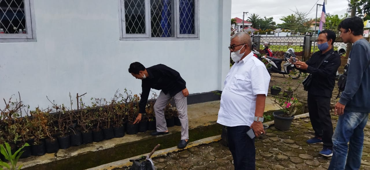 Tanpa APBD, Bunga Bugenvil Perindah Kota Manna