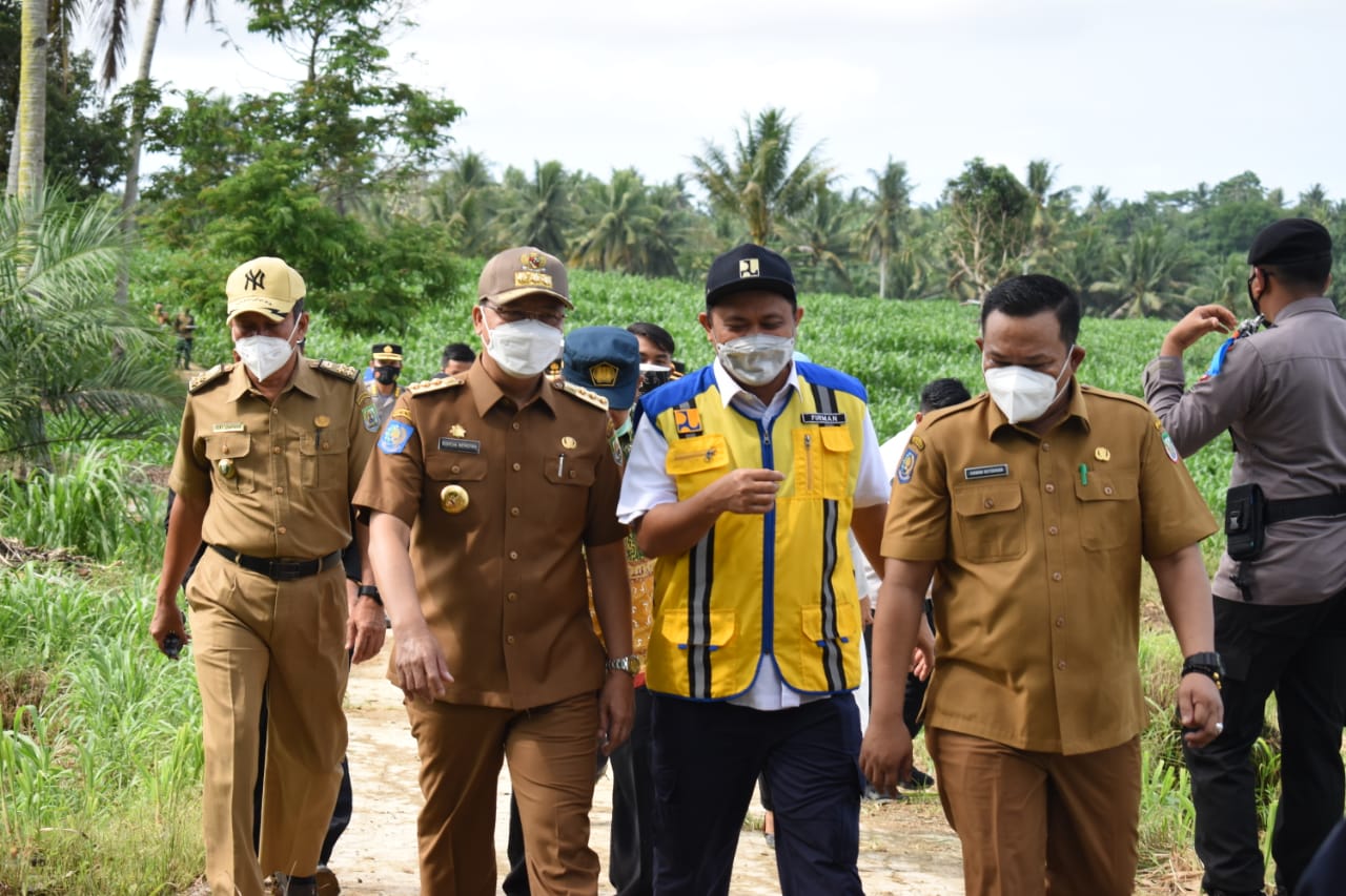 Petani Jagung Seluma Raup Rp 30 Juta Perhektar