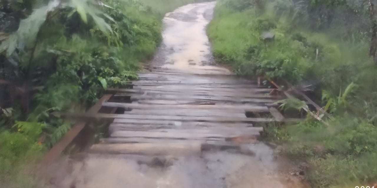 Jalan ke Desa Eks Transmigrasi Hargo Binangun Menyedihkan